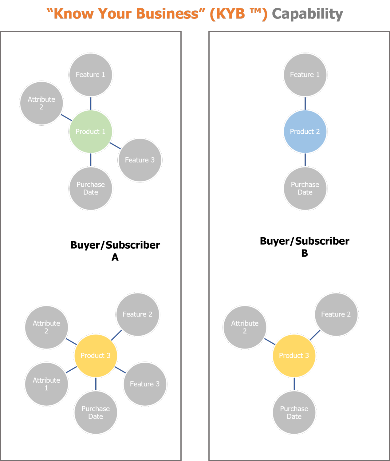 Know Your Business KYB dashboard for customer insights