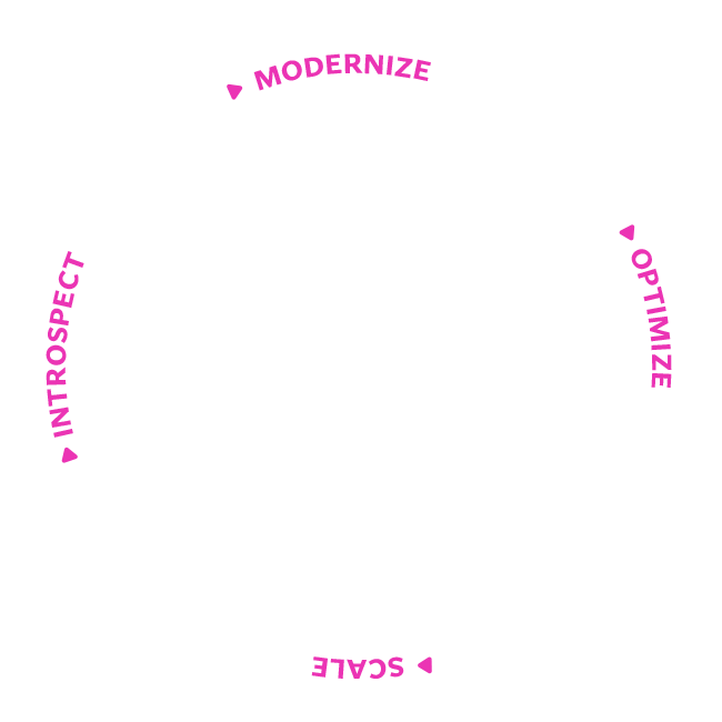 Introspect to Modernize, Optimize, Scale